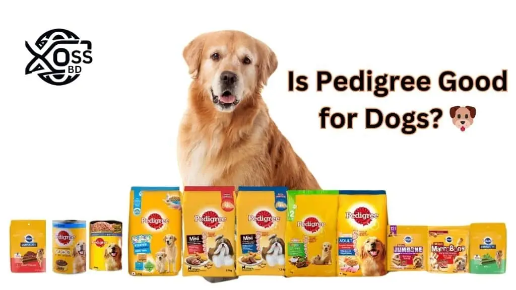 Is Pedigree Good for Dogs 🐶